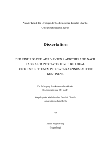 Dissertation - diss.fu