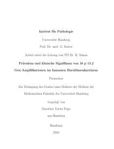 Institut für Pathologie Universität Hamburg Prof. Dr. med. G. Sauter