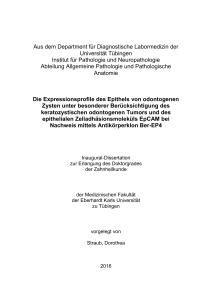 Die Expressionsprofile des Epithels von odontogenen Zysten unter