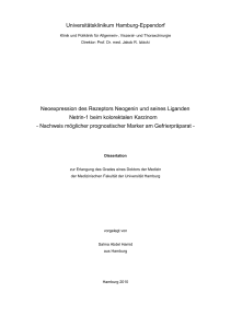 E-Dissertation Wollin, Salma