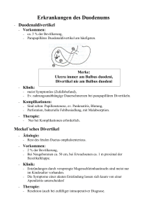 Erkrankungen des Duodenums - Frintroper Praxis für Naturheilkunde