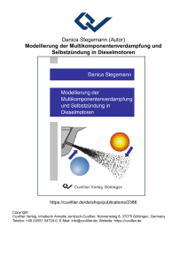 Modellierung der Multikomponentenverdampfung