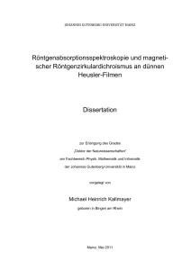 Röntgenabsorptionsspektroskopie und magnetischer