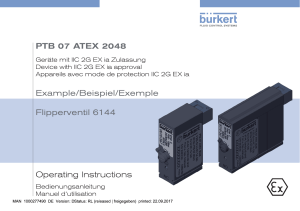 Operating Instructions PTB 07 ATEX 2048 Example/Beispiel