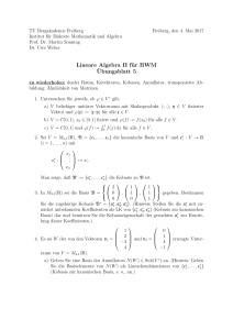 Lineare Algebra II für BWM Übungsblatt 5