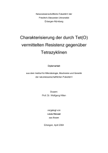 Charakterisierung der durch Tet(O) vermittelten Resistenz