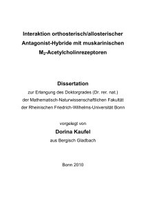 Interaktion orthosterisch/allosterischer Antagonist