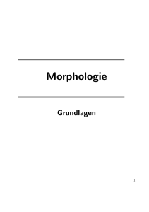 Morphologie