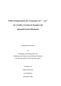 NMR-Lösungsstruktur der Loopregion Tyr67