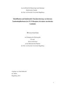 Identifikation und funktionelle Charakterisierung von Internen