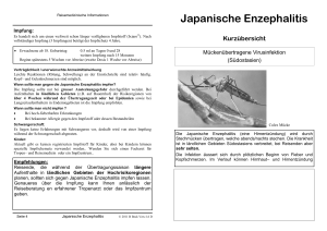 Japanische Enzephalitis 2011 D