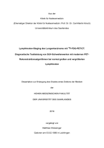 Dissertation N-Staging Weissinger finale verison 23062016