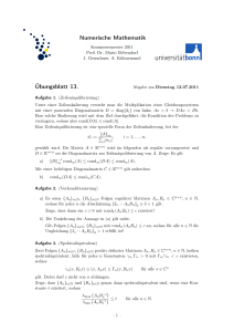 Numerische Mathematik Übungsblatt 13.