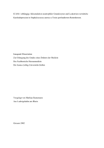 ICAM-1 abhängige Akkumulation neutrophiler Granulozyten und