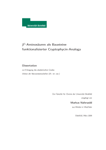 Dissertation, Universität Bielefeld 2009