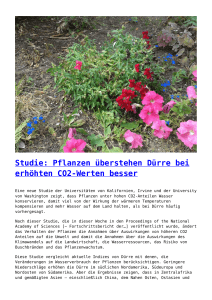 Studie: Pflanzen überstehen Dürre bei erhöhten CO2-Werten