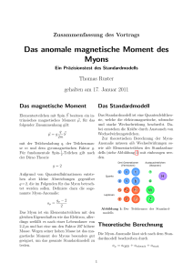 Das anomale magnetische Moment des Myons
