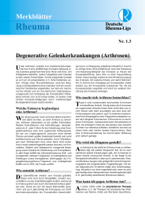Merkblatt 1.3