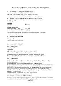 Seite 1 von 8 ZUSAMMENFASSUNG DER MERKMALE DES