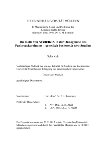 Die Rolle von NFκB/RelA in der Onkogenese des