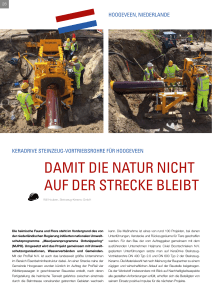 Report 01 2013-D - Steinzeug