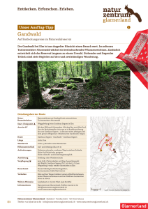 Gandwald - Naturzentrum Glarnerland