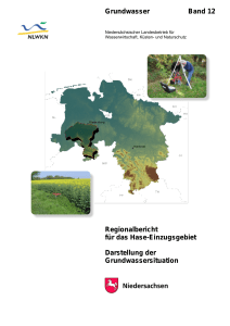 Regionalbericht Hase - Nlwkn