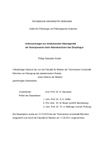 TECHNISCHE UNIVERSITÄT MÜNCHEN Institut für