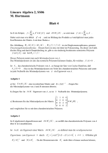 Lineare Algebra 2, SS06 M. Hortmann Blatt 4