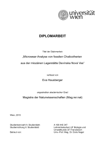 diplomarbeit - Universität Wien