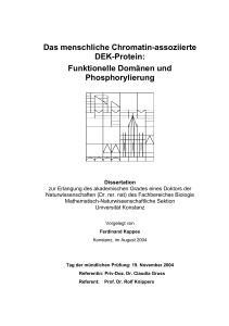 Das menschliche Chromatin-assoziierte DEK