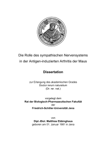 Die Rolle des sympathischen Nervensystems in der Antigen