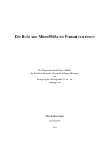 Die Rolle von MicroRNAs im Prostatakarzinom