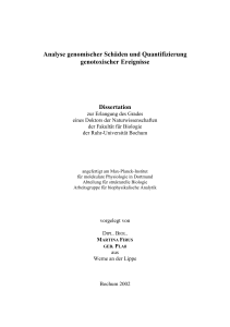 Analyse genomischer Schäden und Quantifizierung genotoxischer