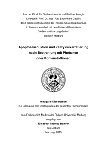 Apoptoseinduktion und Zellzyklusarretierung nach Bestrahlung mit