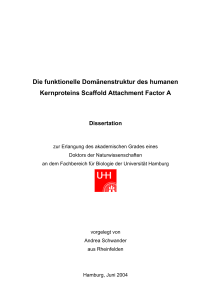 Die funktionelle Domänenstruktur des humanen Kernproteins