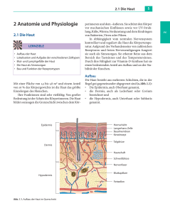 2 Anatomie und Physiologie