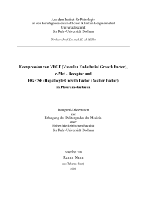 Koexpression von VEGF (Vascular Endothelial Growth Factor), c