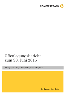 Offenlegungsbericht zum 30. Juni 2015