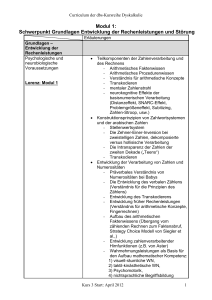 Modul 1: Schwerpunkt Grundlagen Entwicklung der