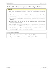 Block 1: Winkelberechnungen am rechtwinkligen