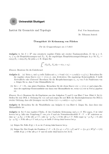 Institut für Geometrie und Topologie