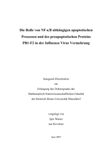 Die Rolle von NF-κB abhängigen apoptotischen Prozessen und des