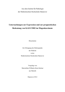 Untersuchungen zur Expression und zur prognostischen Bedeutung