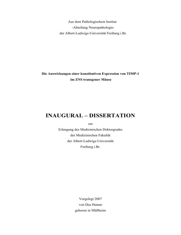 inaugural dissertation deutsch