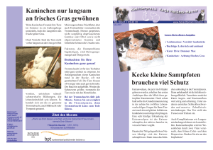 Ausgabe März - Tierarztpraxis Harders