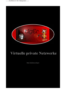 Virtuelle private Netzwerke (VPN): Eine Übersicht