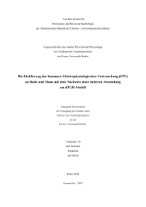 Die Etablierung der humanen Elektrophysiologischen Untersuchung