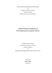 StefanVollathDissertation