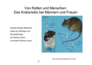 Von Ratten und Menschenendversion